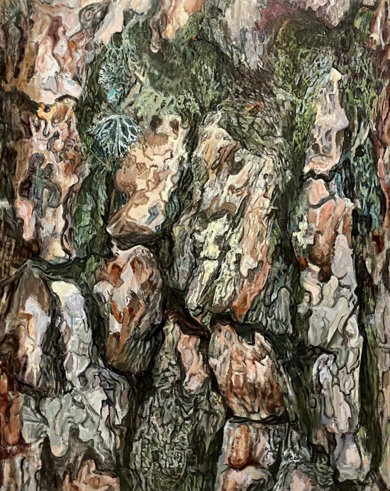 Scot's Pine
